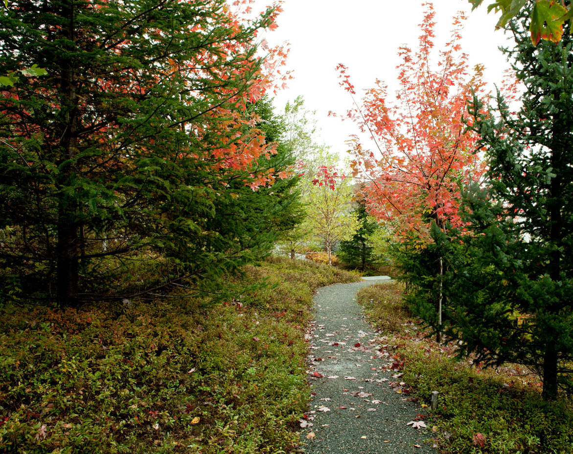 2017 ASLA 住宅设计类荣誉奖：东北港，沙漠山上的景观复原，美国 / Stephen Stimson Associates Landscape Architects, Inc.-27