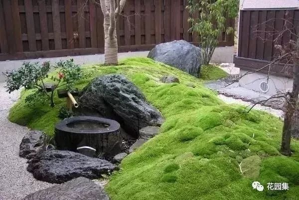 最美不过苔造园,探寻东方庭院的诗意之美-34