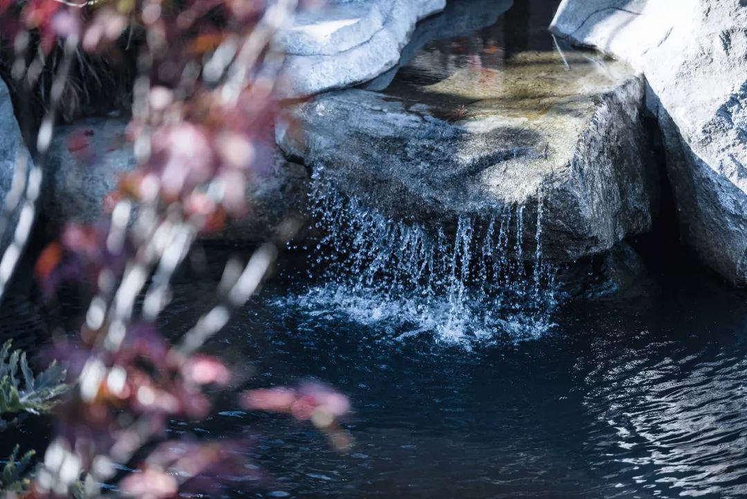 入世而出尘丨云南白药·大理健康养生创意园-54