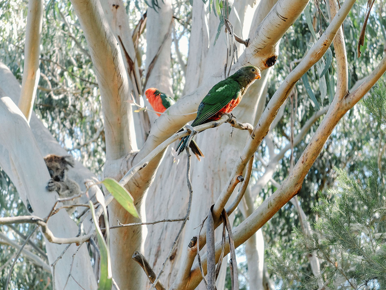 摄影大师的旅行画卷 | Isabella Thaller 的 Voyage-35