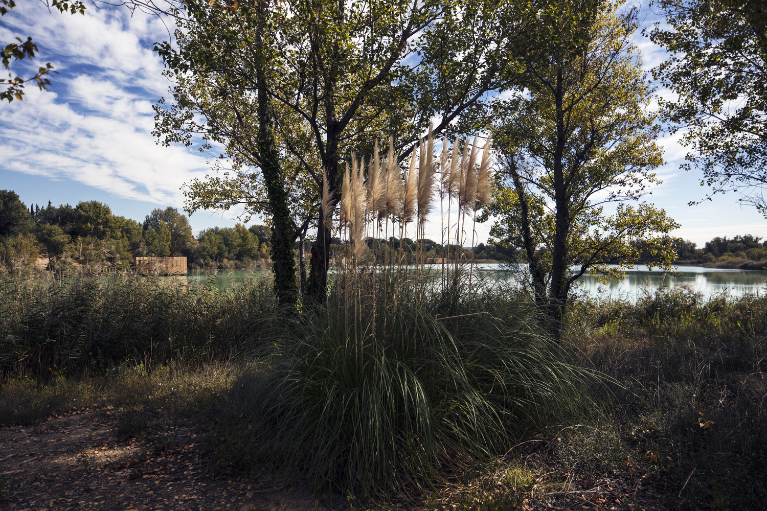 GCP Wood Cabins Hotel  Atelier LAVIT-60