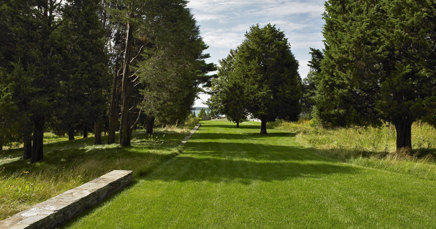 长草地住宅设计-3