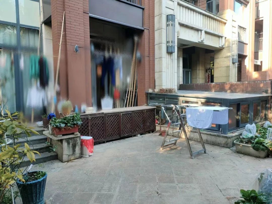 蓝莓花园 · 60㎡小院改造丨中国上海丨OneGarden-10