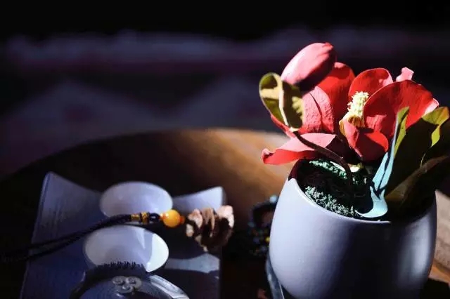 丽江瑞吉别墅·大匠意运、正品不凡，历经六年雕琢  高文安设计公司-22