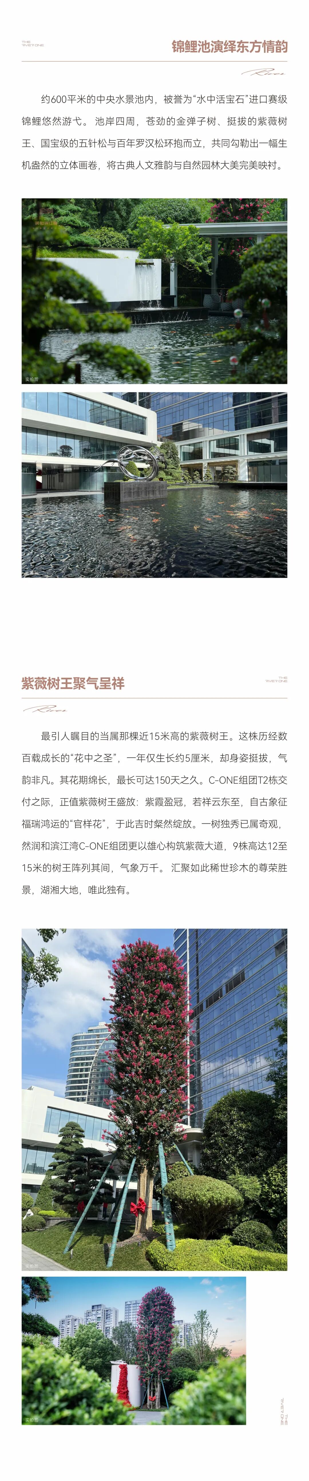 C-ONE组团T2栋交付：当代御花园里的归航时刻-1