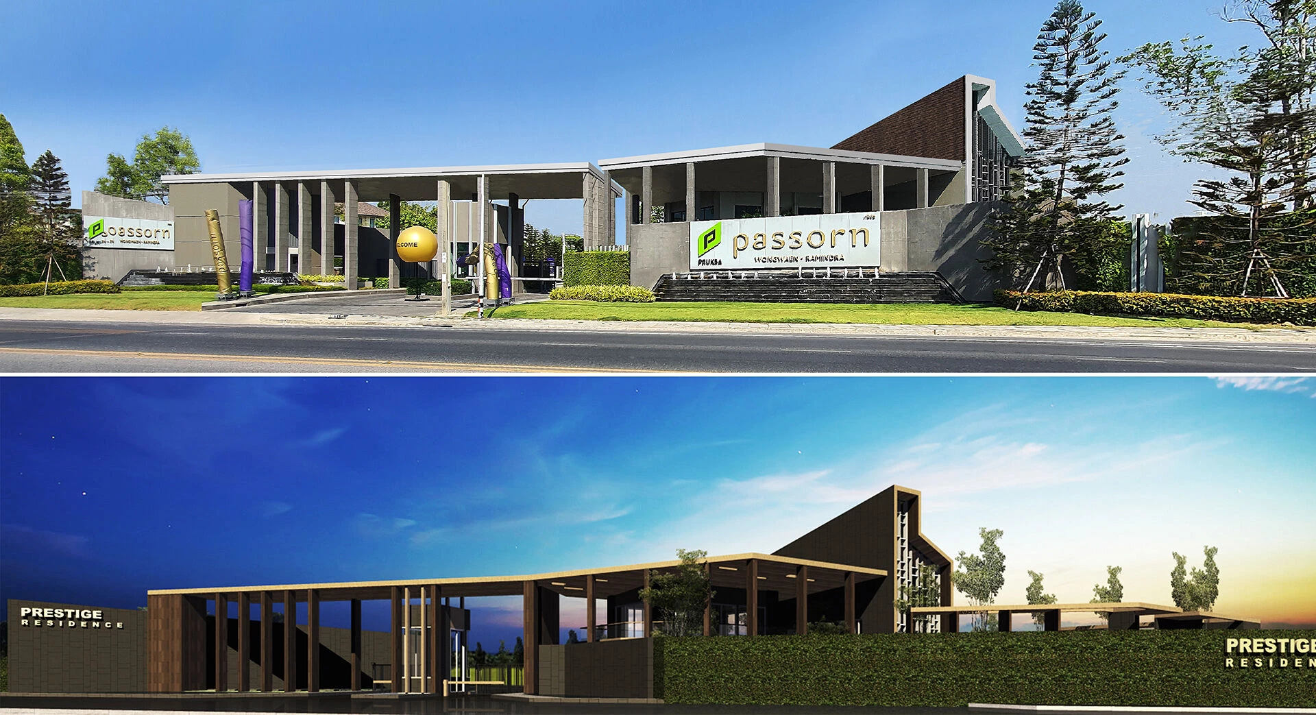 植物精英和帕森-25