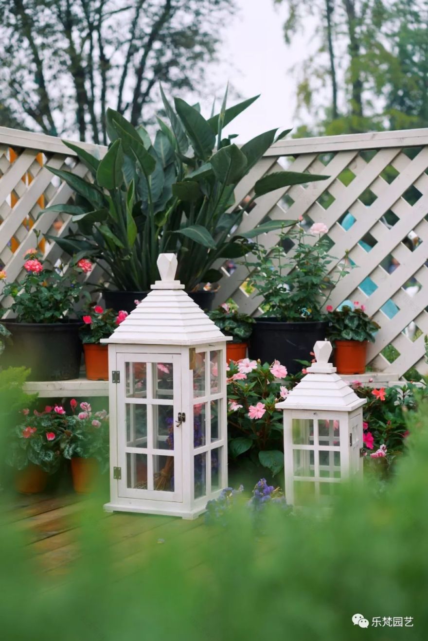 乐梵园艺打造成都花木博览会快闪花园,惊艳全场-81