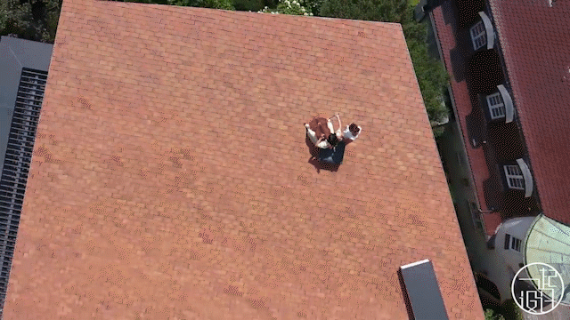 RUDOLPH HOUSE 别墅丨德国斯图加特丨Alexander Brenner Architects-73