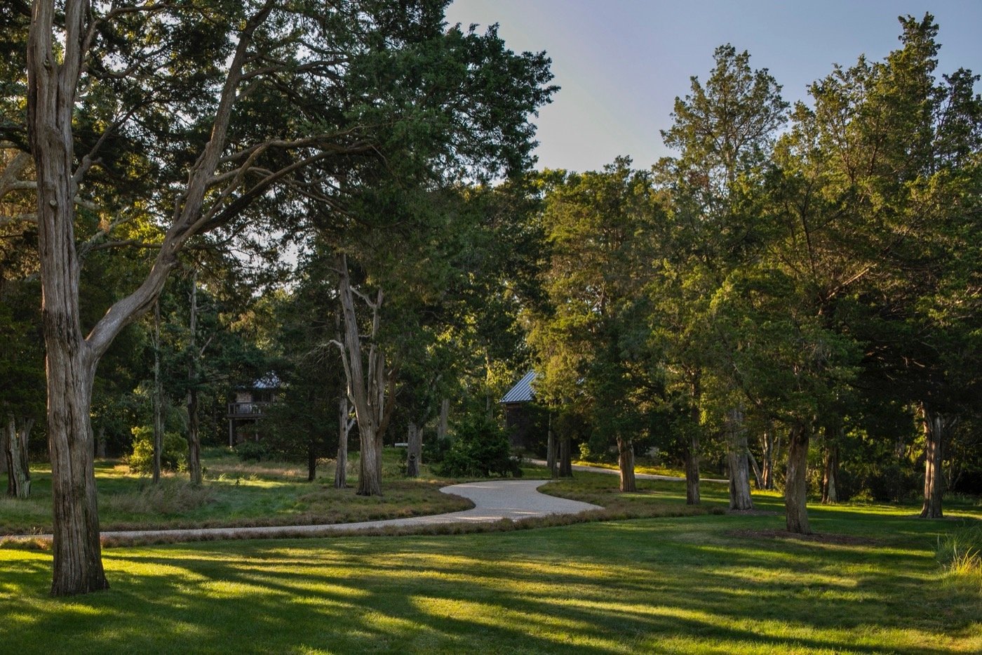 美国佩科尼克湾的 8 英亩地块景观-29