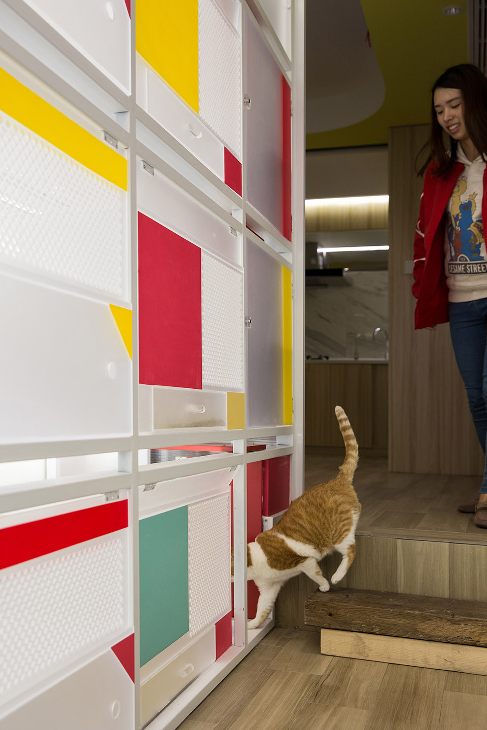 人宠雅居   48平方米高密度人宠的优雅混居-10