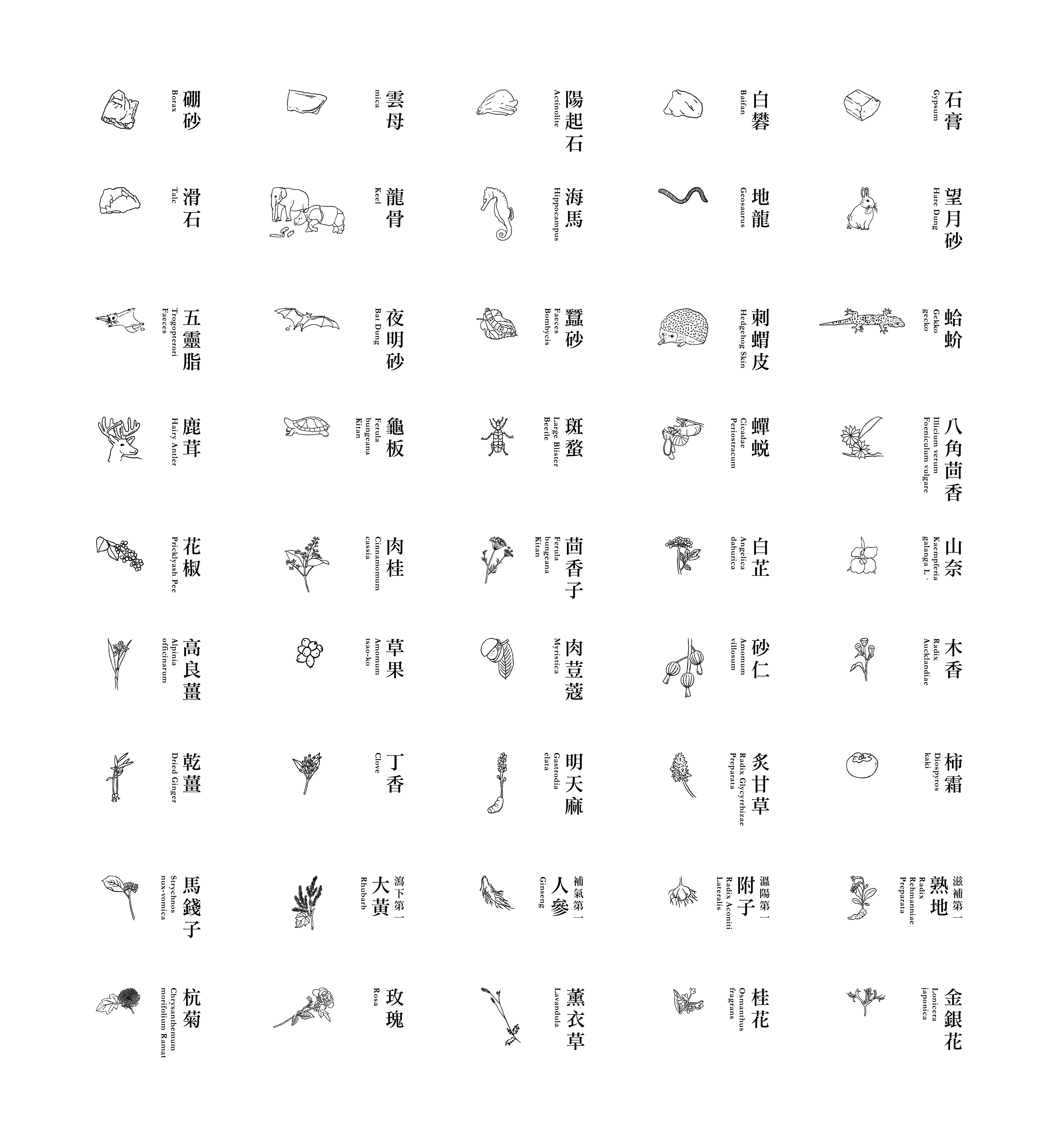 深職人臺中故事 【立秋解憂漢方】｜視覺與展覽設計丨好位子團隊（視覺與展覽設計:蘇品璇）-27