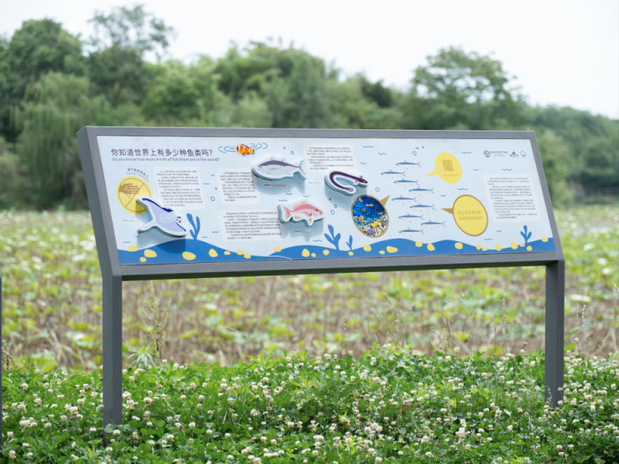 白鹭湾湿地公园自然探索基地丨中国成都丨上海柏熙标识有限公司-89