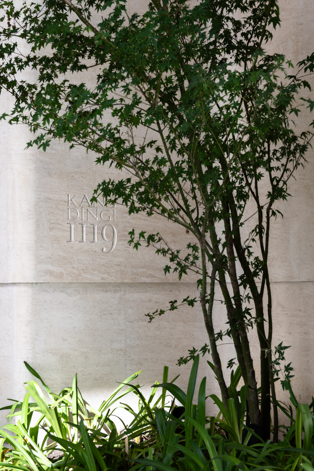 招商·康定壹拾玖|老静安印记梧桐下永恒-53