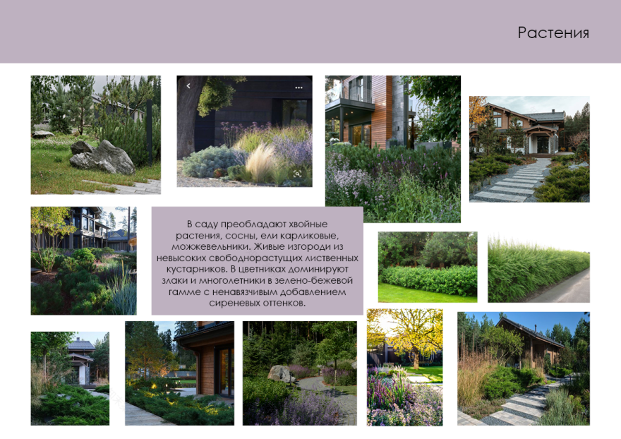 “На краю леса”花园概念与可视化设计-18