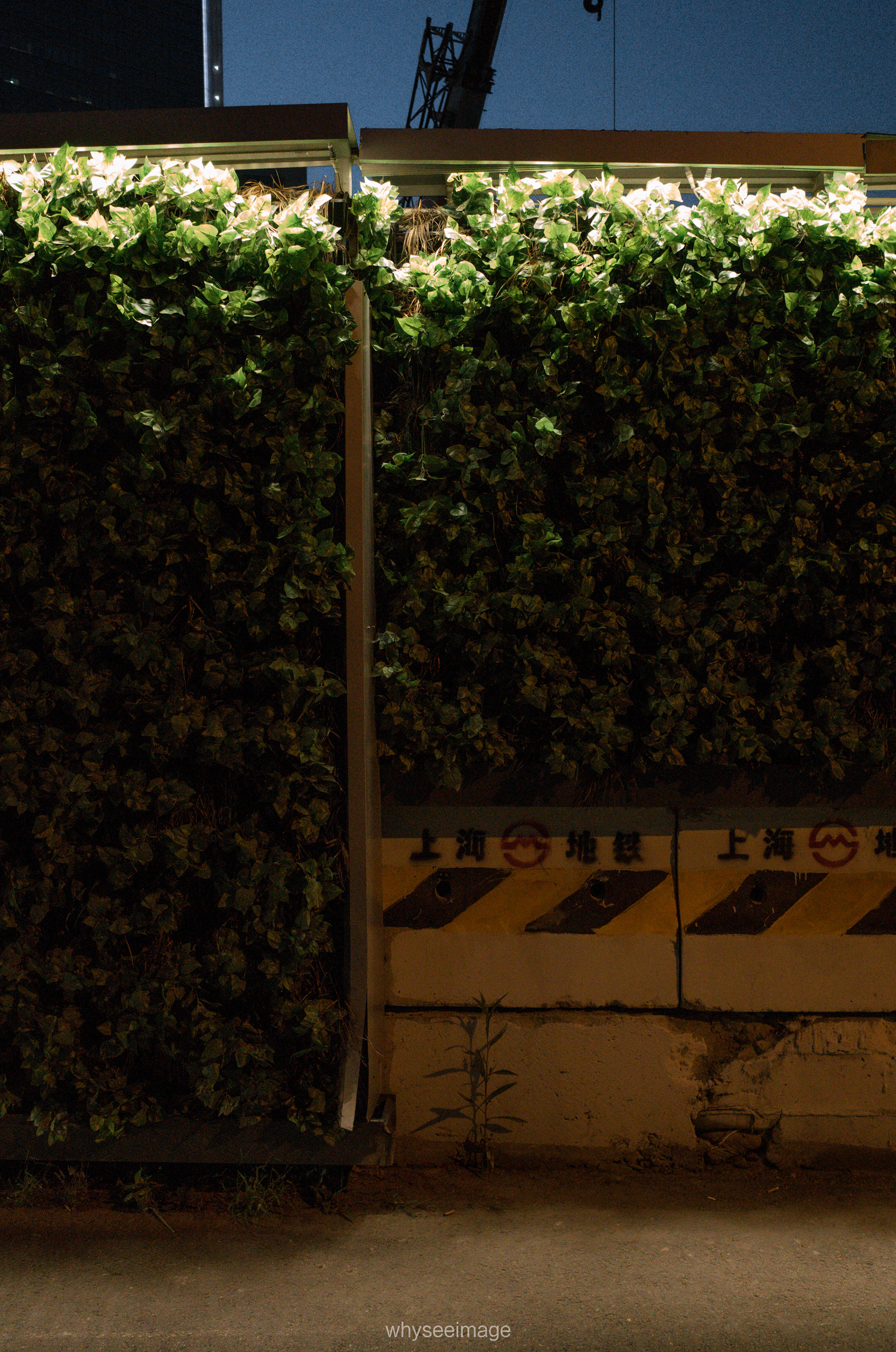 明亮时刻 · 不如回到街头丨中国上海丨whyseeimage-17