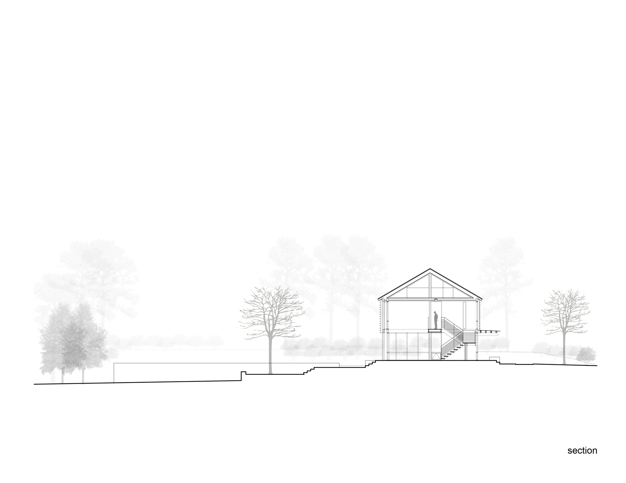 森林中的透明之家-4