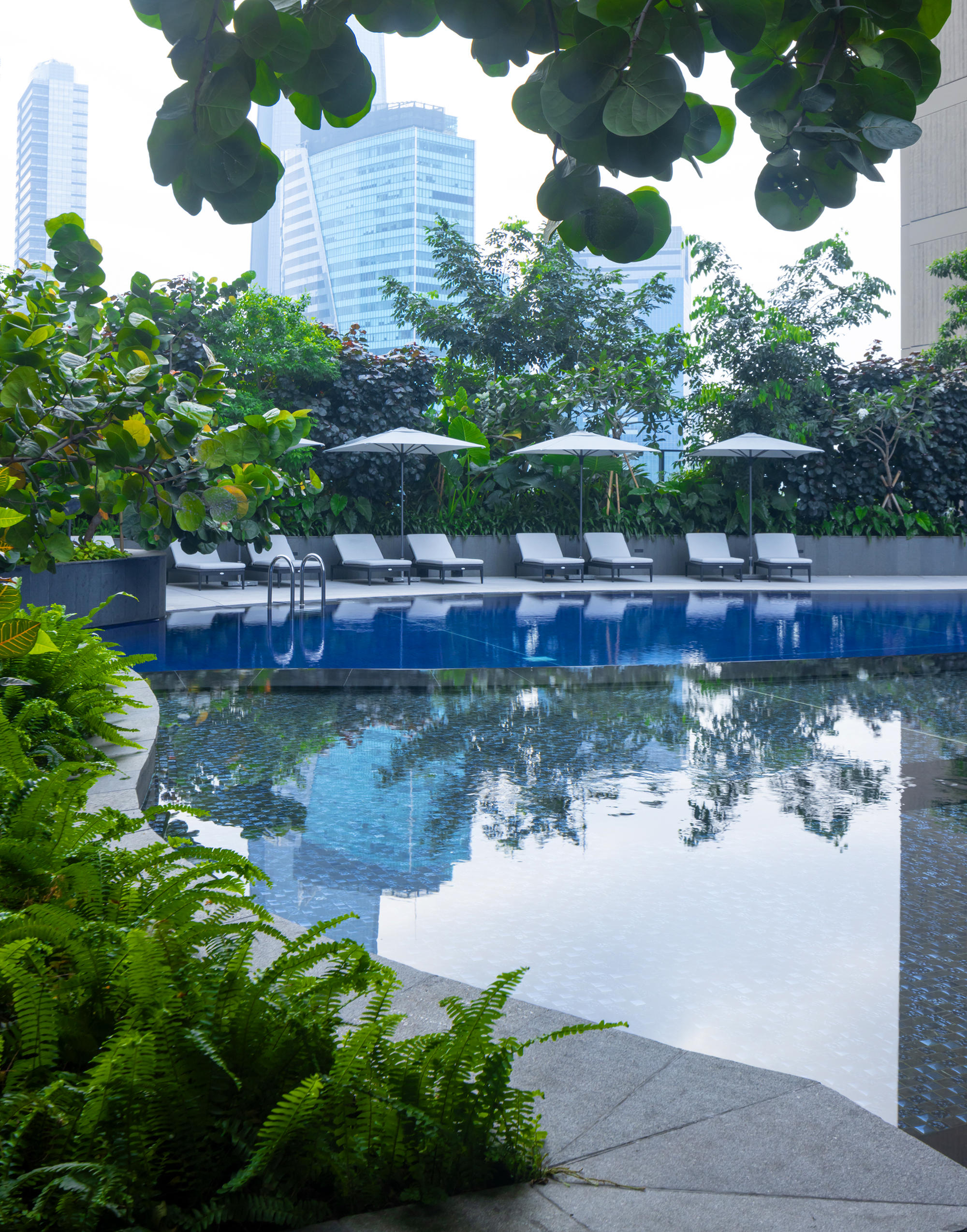 ブランズ メガクニンガン ＆ スイスホテルリビング ジャカルタ メガクニンガン ランドスケープ｜FIELD FOUR DESIGN OFFICE-5