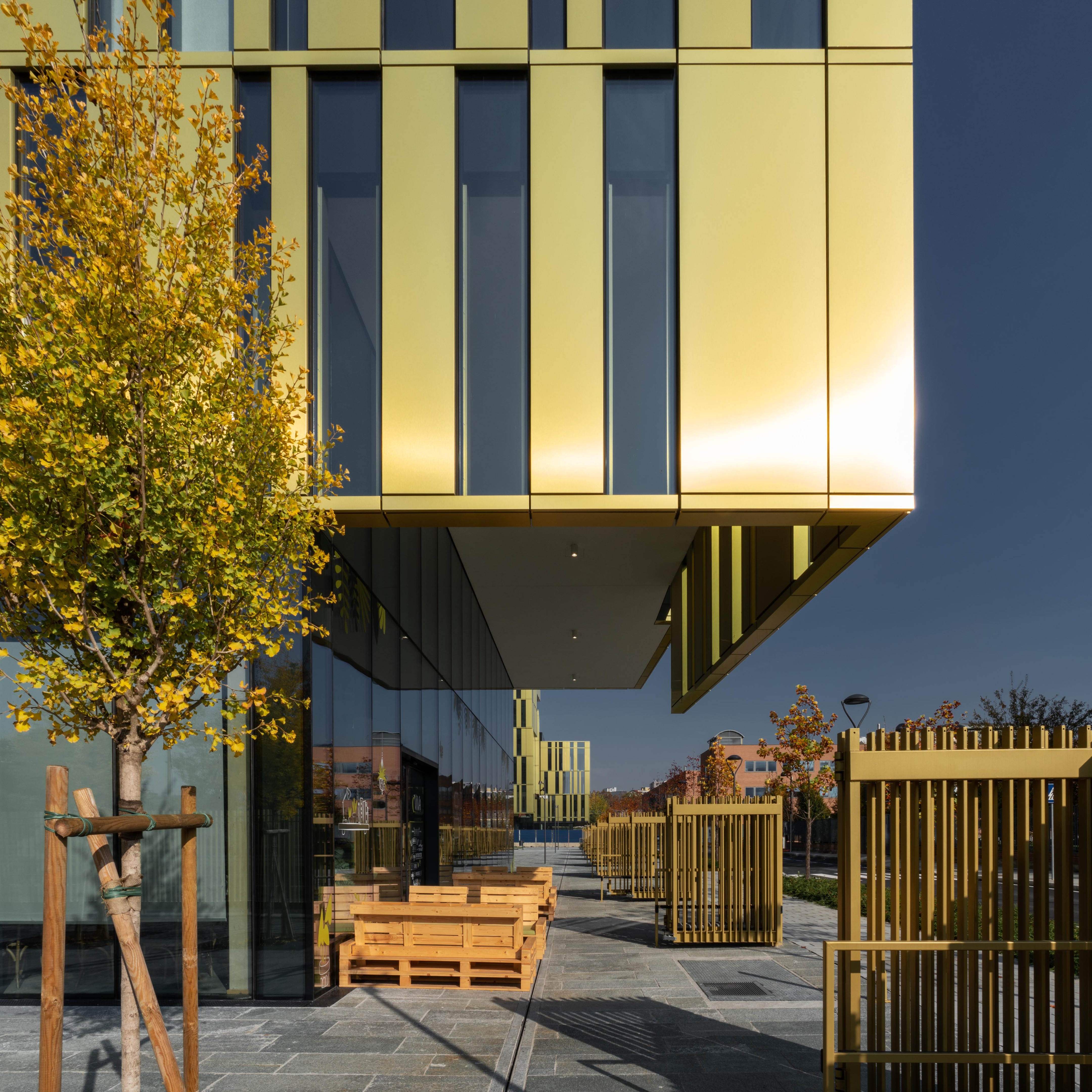 标志 或 符号 或 迹象-18