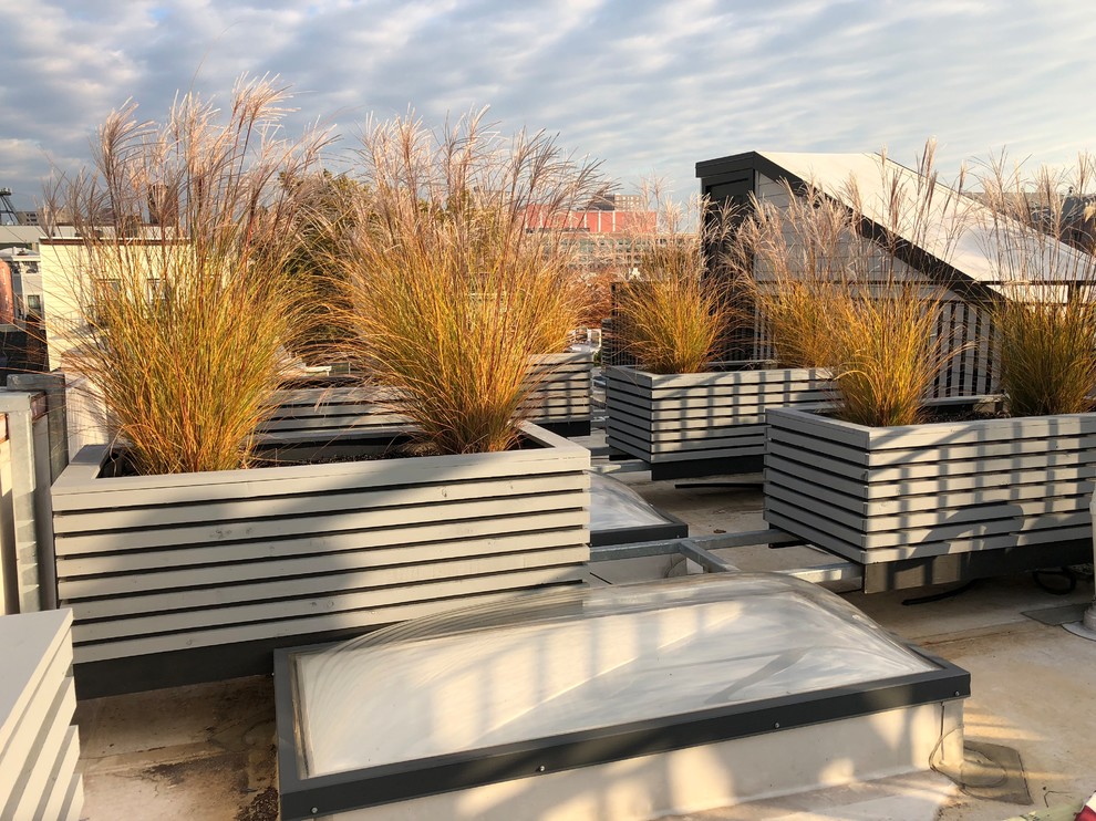 Jersey City Roof Garden-5