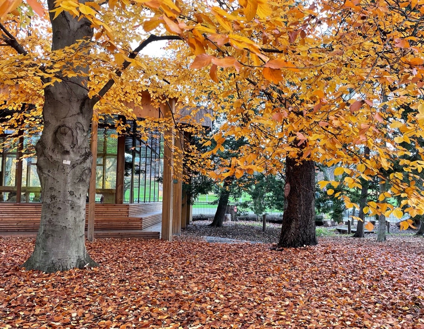 挪威气候花园-8