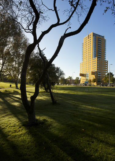 法罗斯（埃及亚历山大港外的一个岛名，岛上曾建有著名的灯塔）丨Liesbeth van der Pol及其团队-25