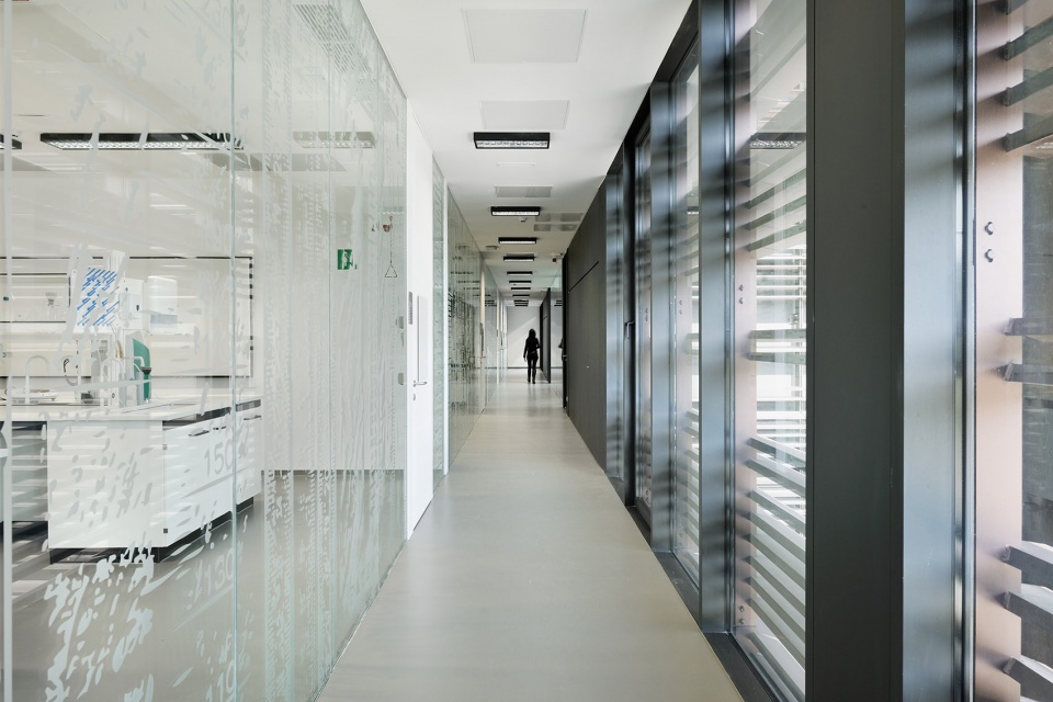 普利莫斯卡大学 Livade 校区教学楼 1·0·融入自然的开放式网络设计-35