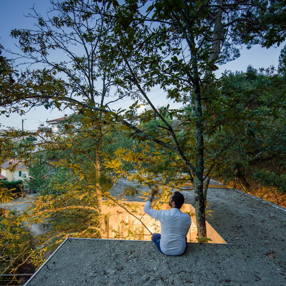 隐匿于树林间的住宅设计-12