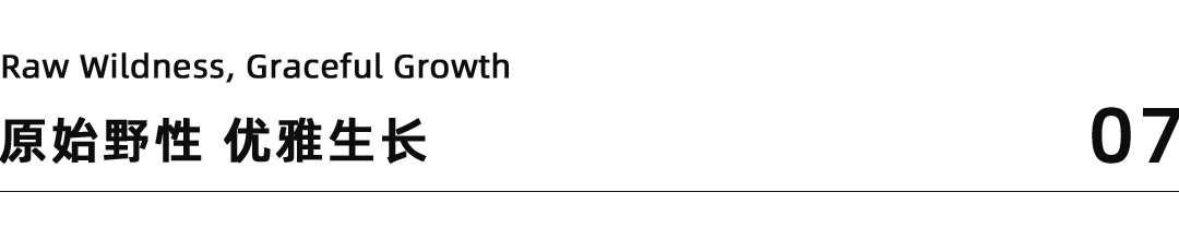 苏州燕回平门里丨中国苏州丨首席公馆-3