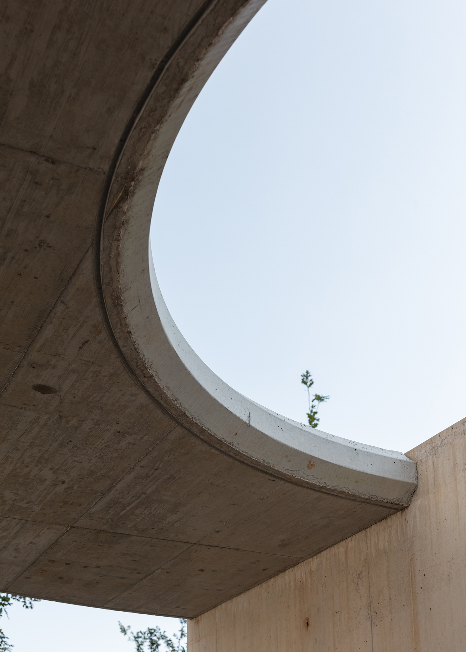 7000 Oaks 与城市生态共生的艺术设计-30