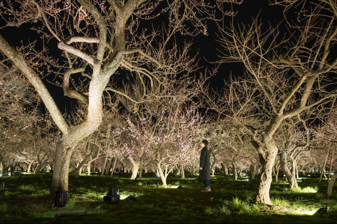 teamLab偕乐园光之祭丨日本-39