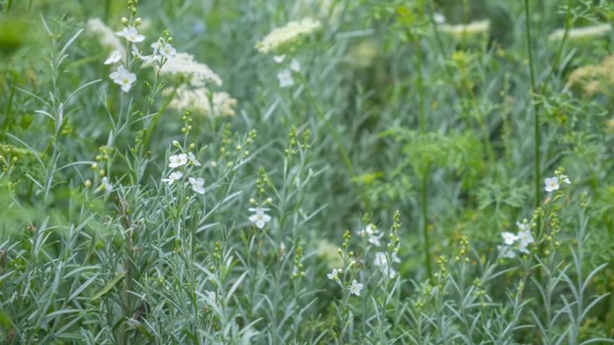 无界丨中国深圳丨林俊英景观工作室-77