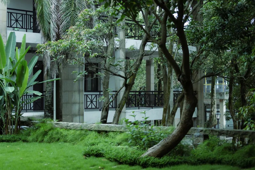 鹭潮·鼓浪屿美院丨中国厦门丨GND杰地景观-104