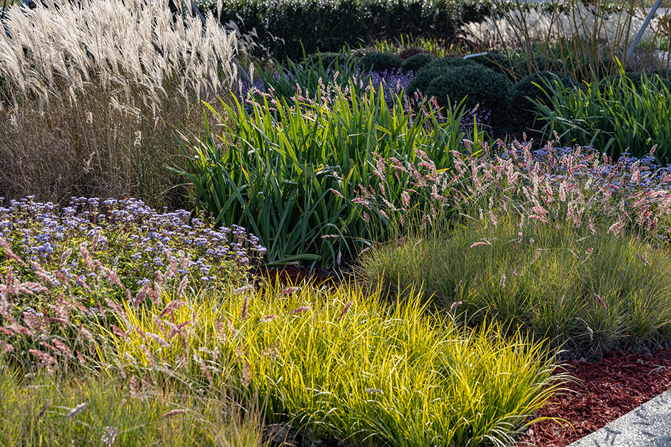 上海天辰生命科技城花香花园丨中国上海丨L&A设计集团上海分公司花香仙境团队及第三项目团队-42