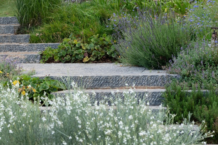 泸沽湖岚岳海子花园丨中国丽江丨Z’scape致舍景观(景观),尚壹扬设计(建筑及室内)-140