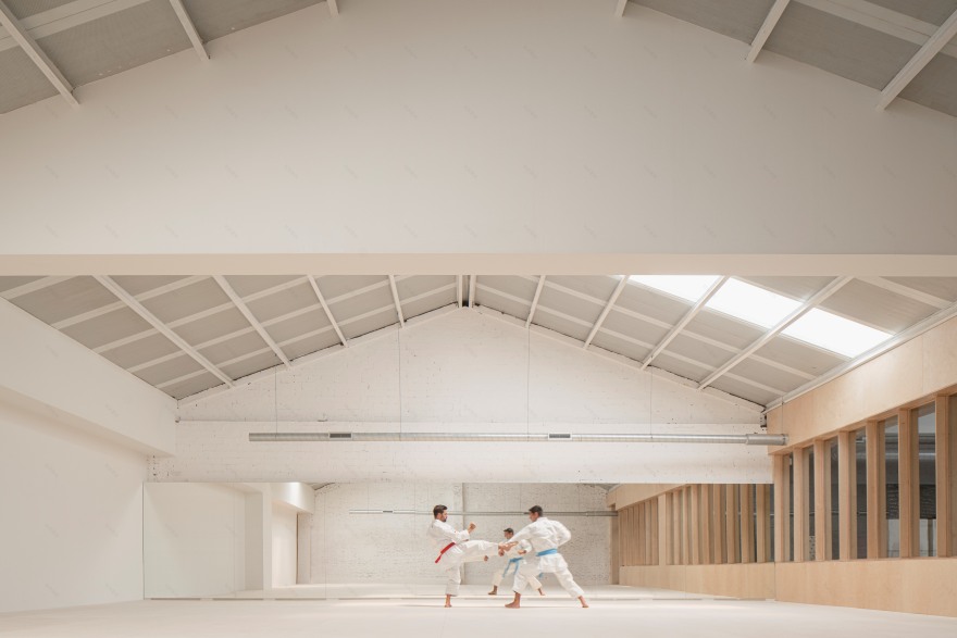 双面空间 · 日本武道馆的多功能设计-19