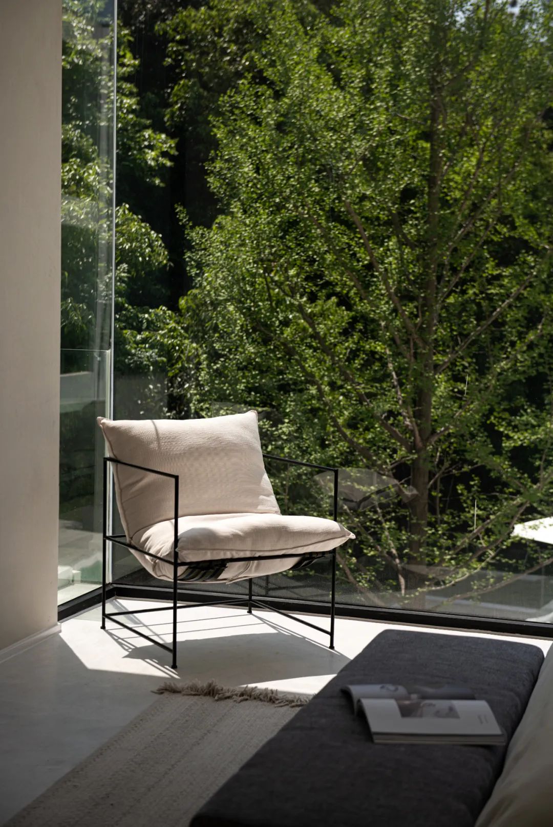 莫干山秘境杉林,尽享自然之美-75