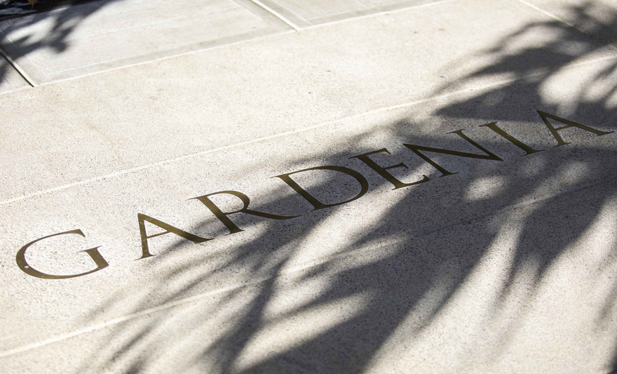 栀子丨哥斯达黎加圣何塞丨Studio Saxe-69