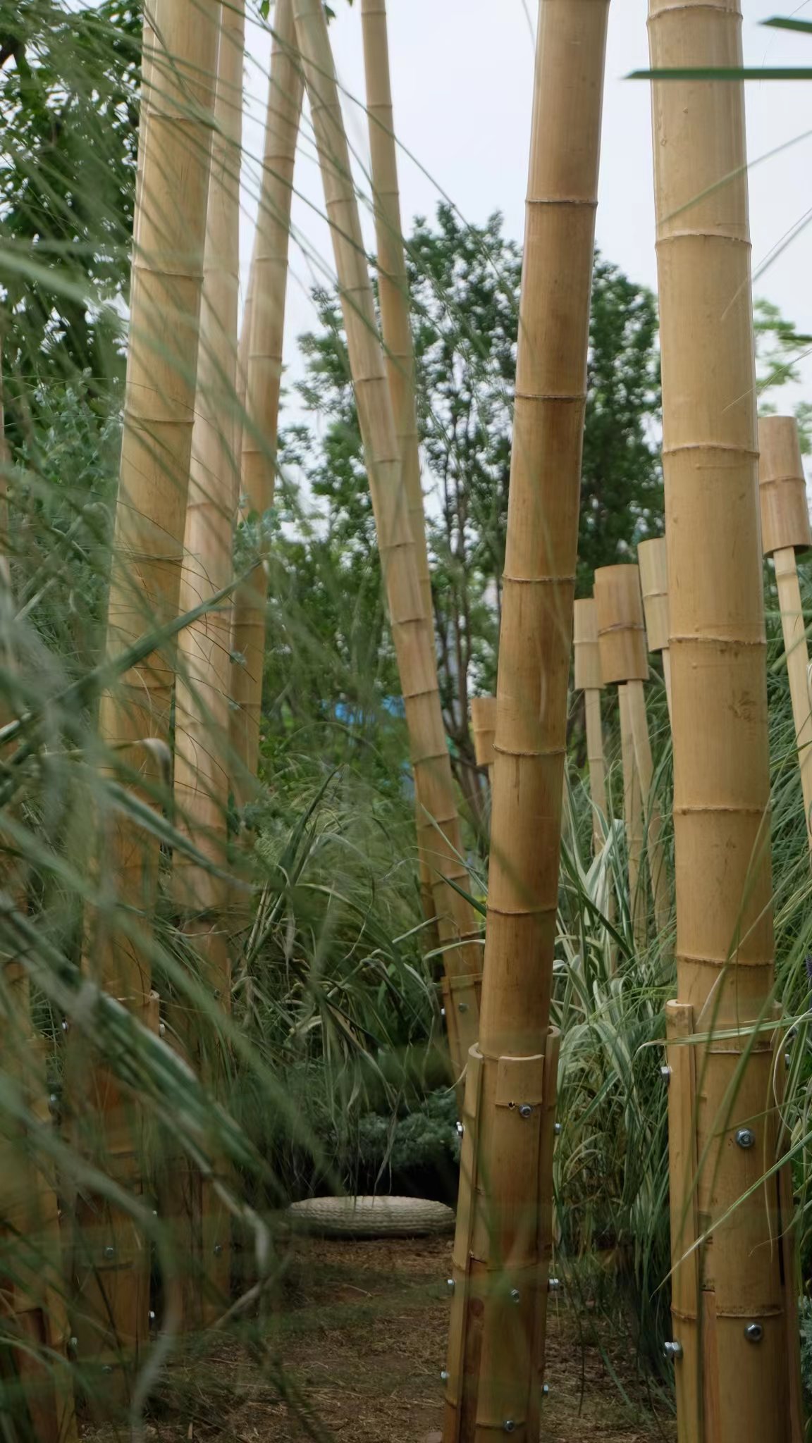 竹林丨中国成都丨Atelier Folie（北林风景建筑研究中心）-16