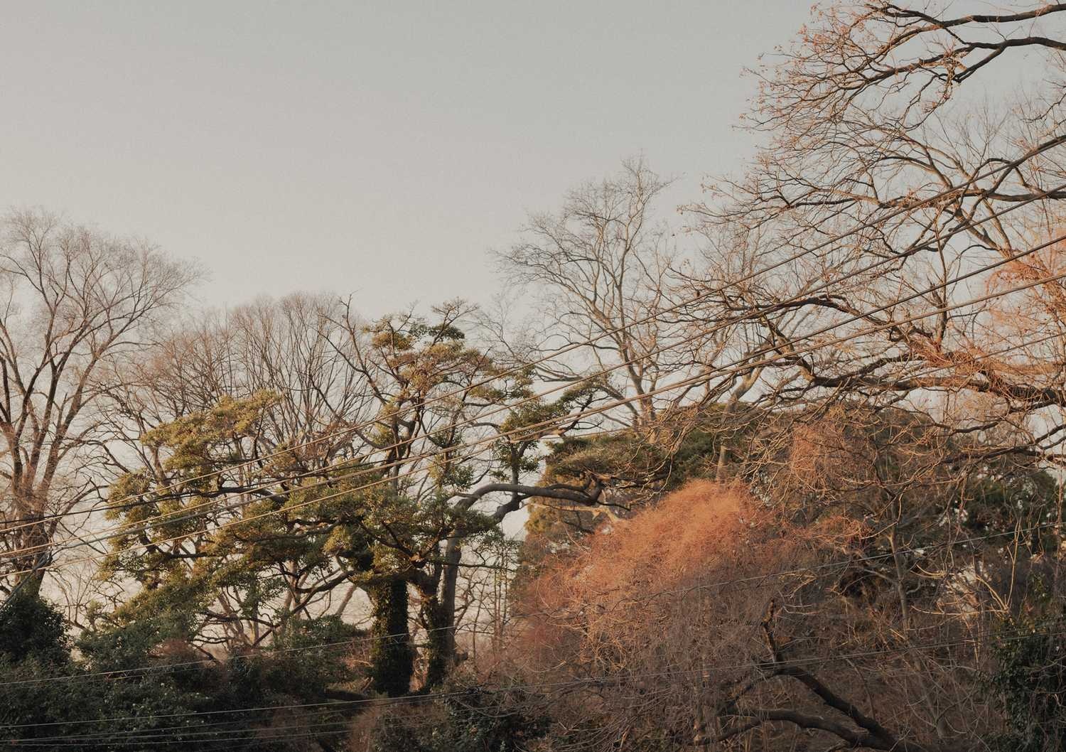 日本57㎡的公寓La Piedra House丨东京设计师平山健太-0