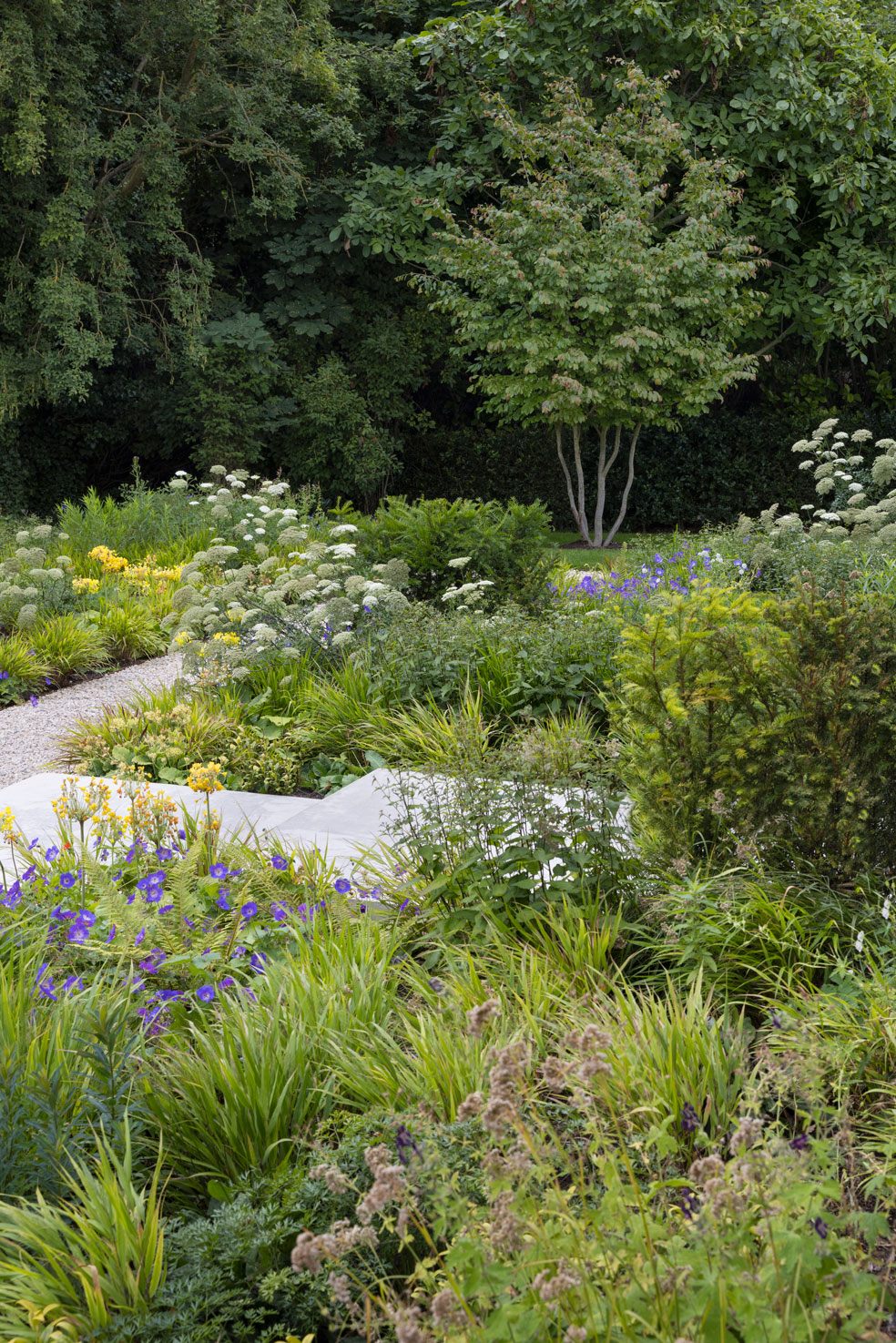 诗意中游弋 | Colm Joseph-84