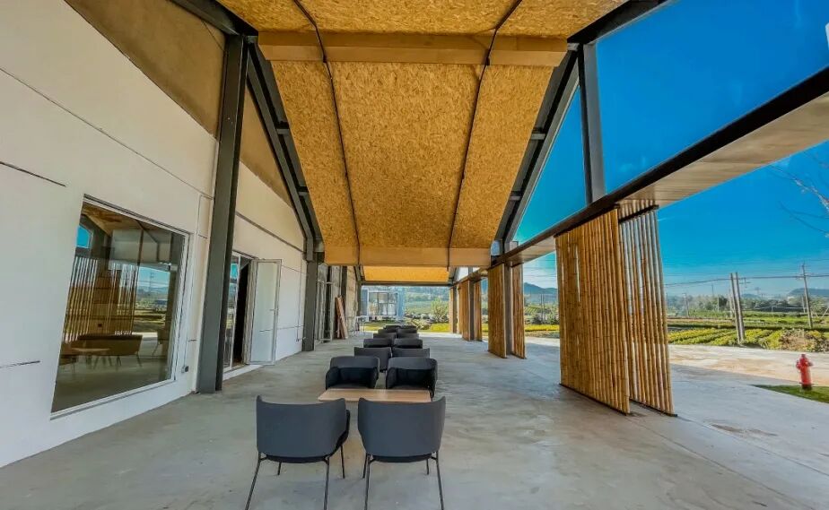 城市纵览|从“游牧民”到“新乡民”：安吉DNA数字游牧民公社-37