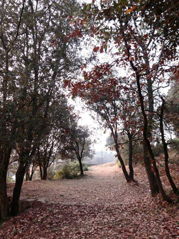 Mons Observans:Can Tacó古罗马遗址适应性修复（公元前2世纪）在“El Turo de Les Tres Creus”自然空间中-30