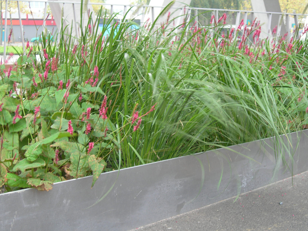 丨荷兰鹿特丹丨Inside Outside（Petra Blaisse等）-20