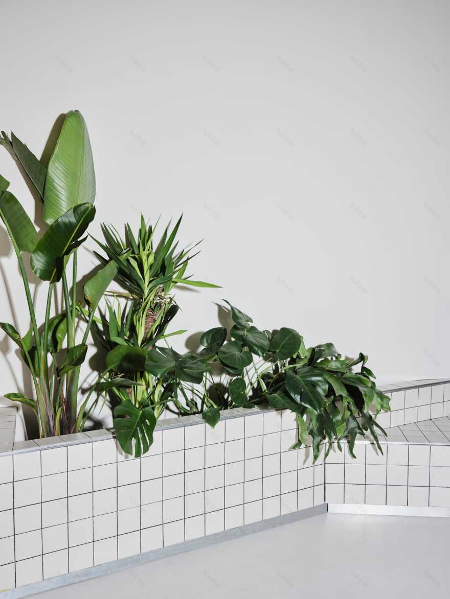 Sornells 21共享 workspace丨西班牙丨Paloma Bau,T.O.T(由Ausiàs Pérez领导)-25