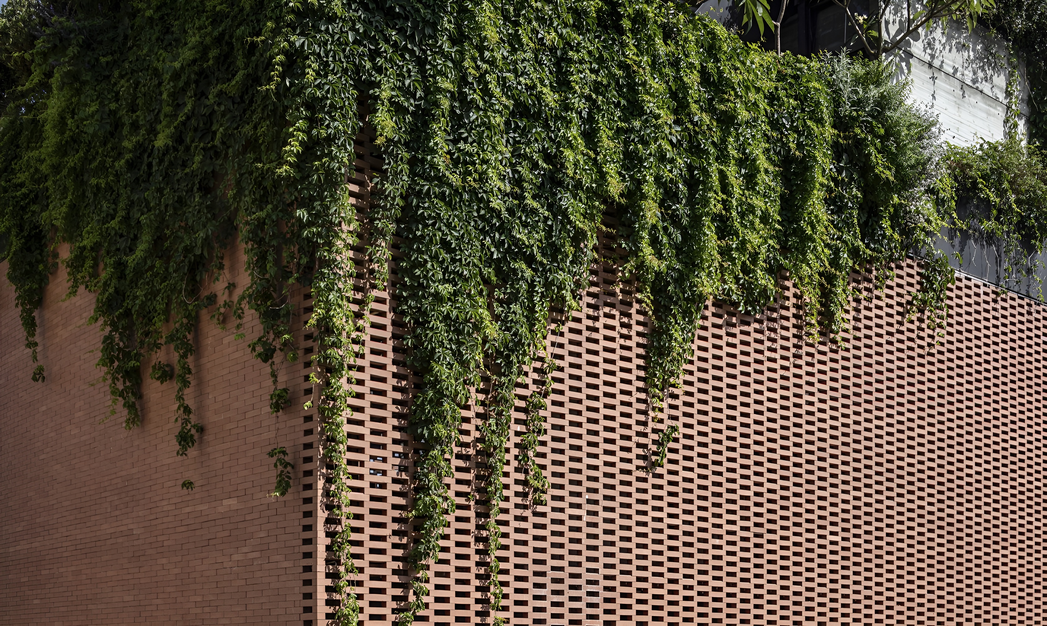 赤土联排别墅丨以色列丨Pitsou Kedem Architects-10