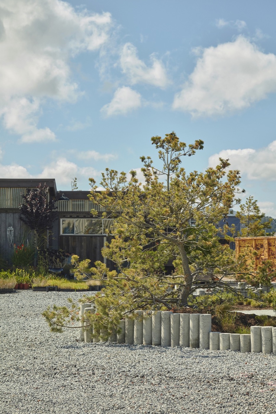 加州海滨波西米亚风 Varda Landing 社区景观设计丨美国加利福尼亚丨Terremoto-8