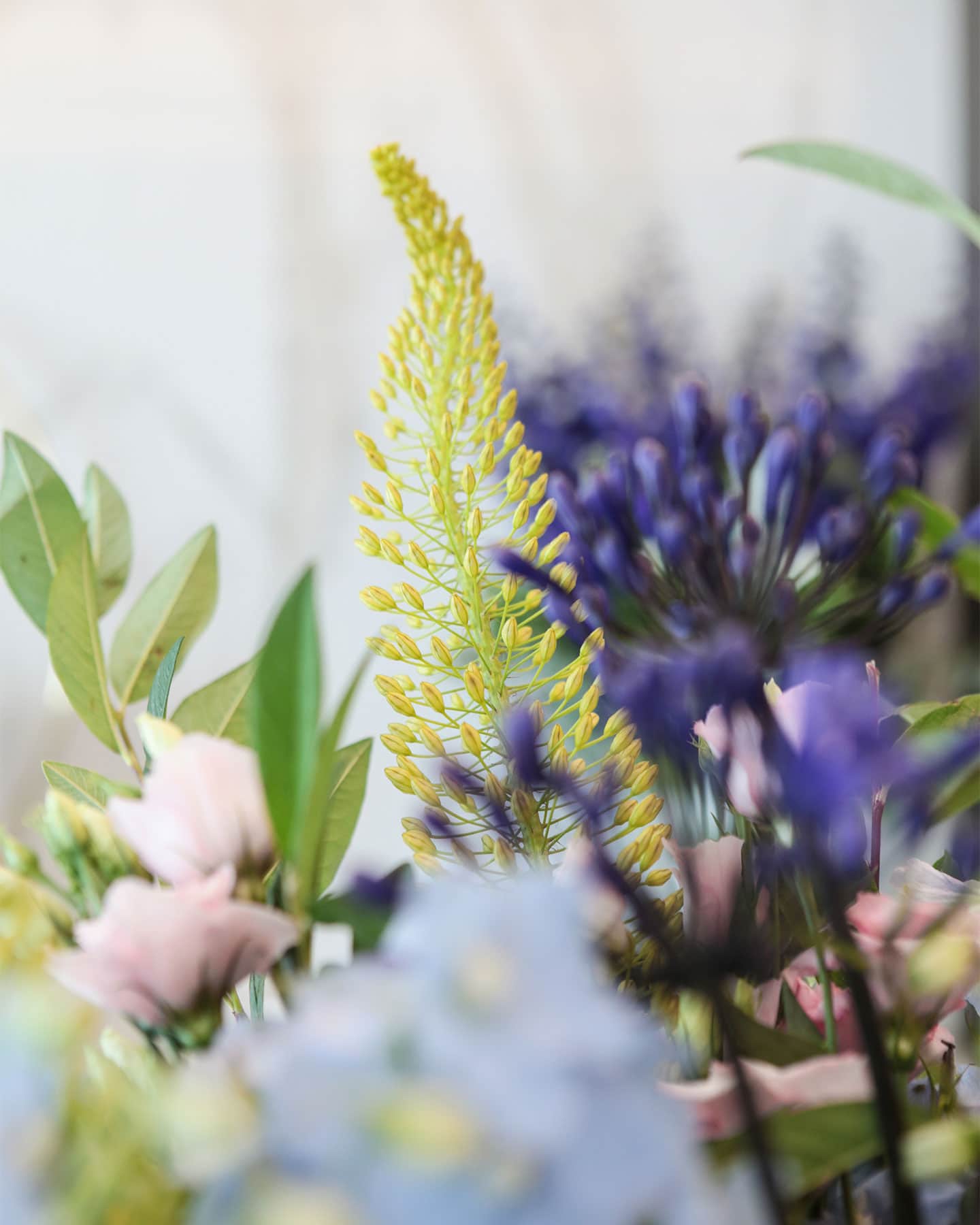 How to Bring Nature Indoors with Fresh Cut Flowers | Helen Green Design-0