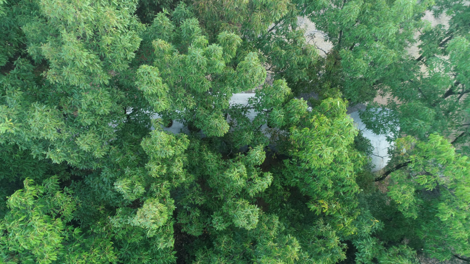 卧虎藏龙美术馆丨中国日照丨孔祥伟工作室-99