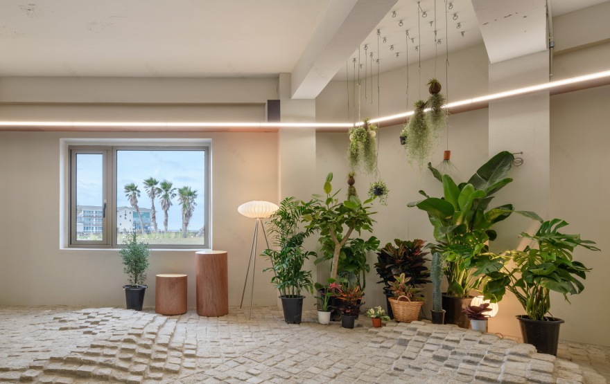 646 米,停留,斯塔西斯丨韩国-19