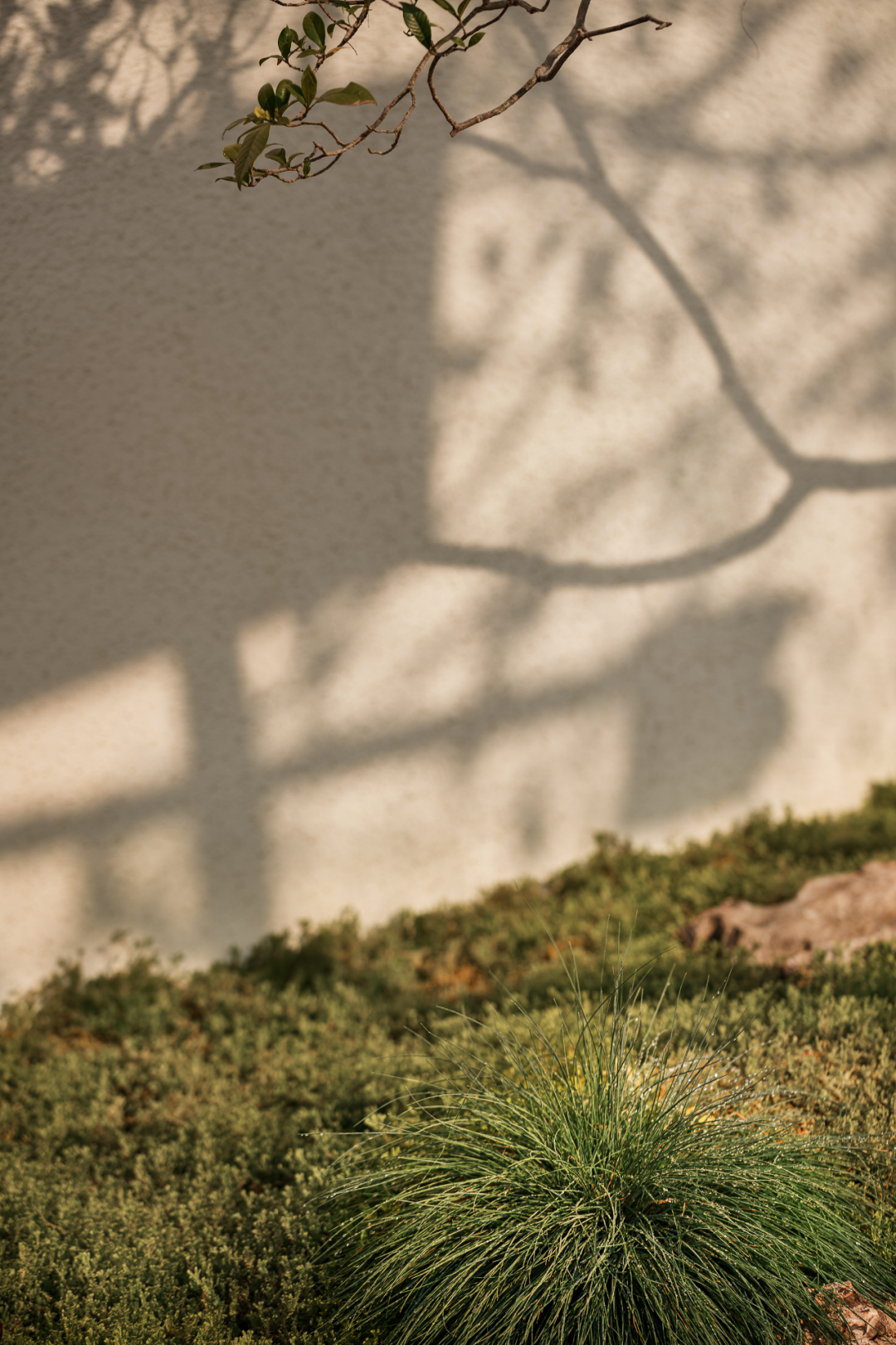 相上丨Ladésee工作室：向外生长，在公共与非公共之间-53